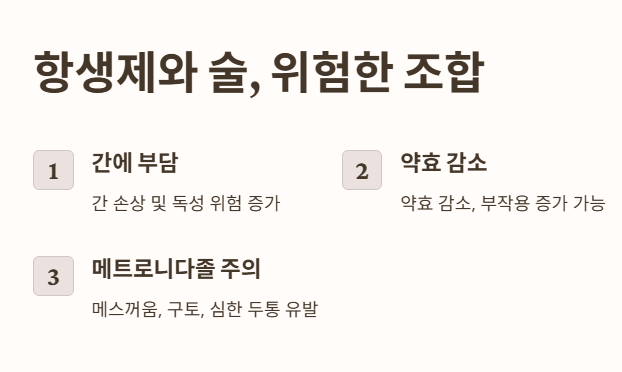 항생제 복용 중 술을 마시면 안 되는 이유
