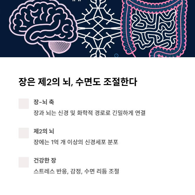 장은 제2의 뇌, 수면도 조절한다
