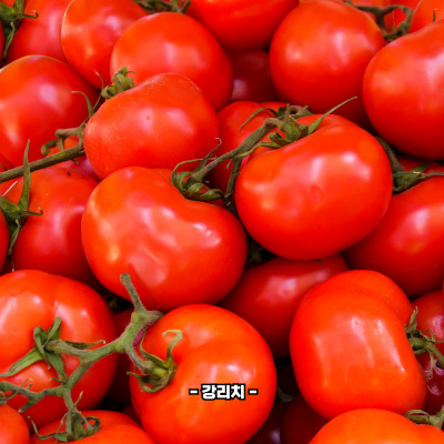 토마토 효능