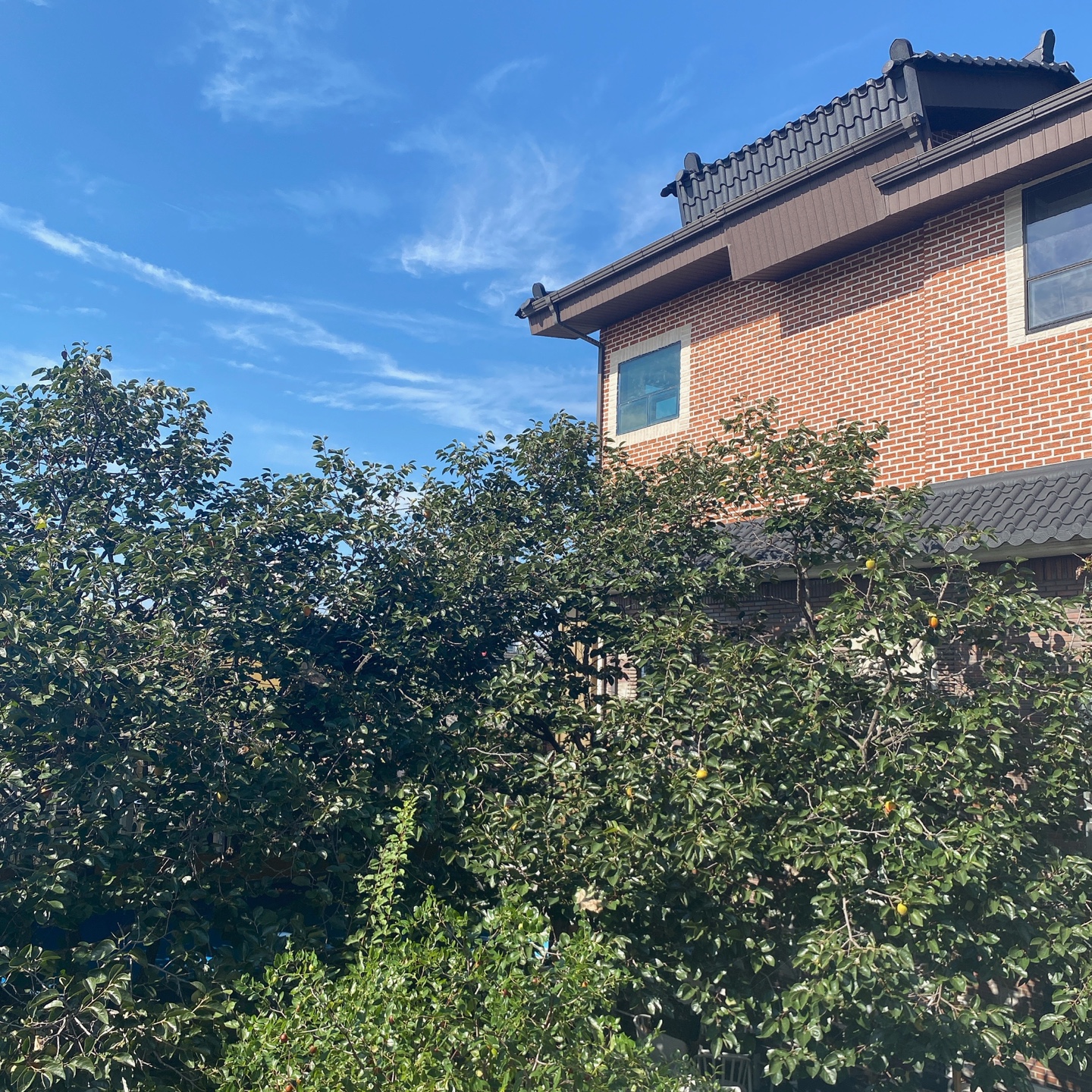 수원 화성행궁 장안문 행궁빙수 유기그릇 송아당 유숙자 명인 전통자수 주차 리뷰 맛집 단팥죽 팥빙수