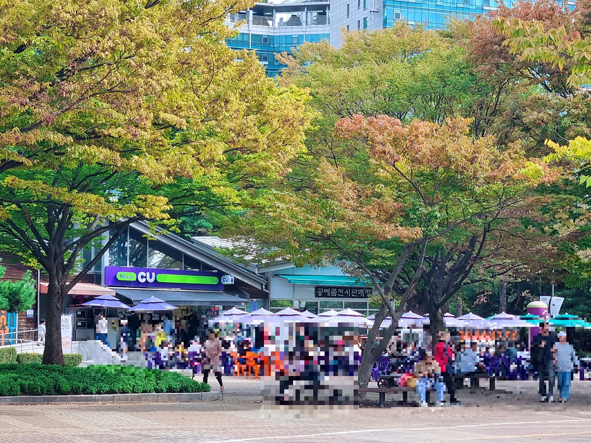 서울 근교 가을꽃 만발한, 경기도 고양시 강매석교공원 창릉천 코스모스축제