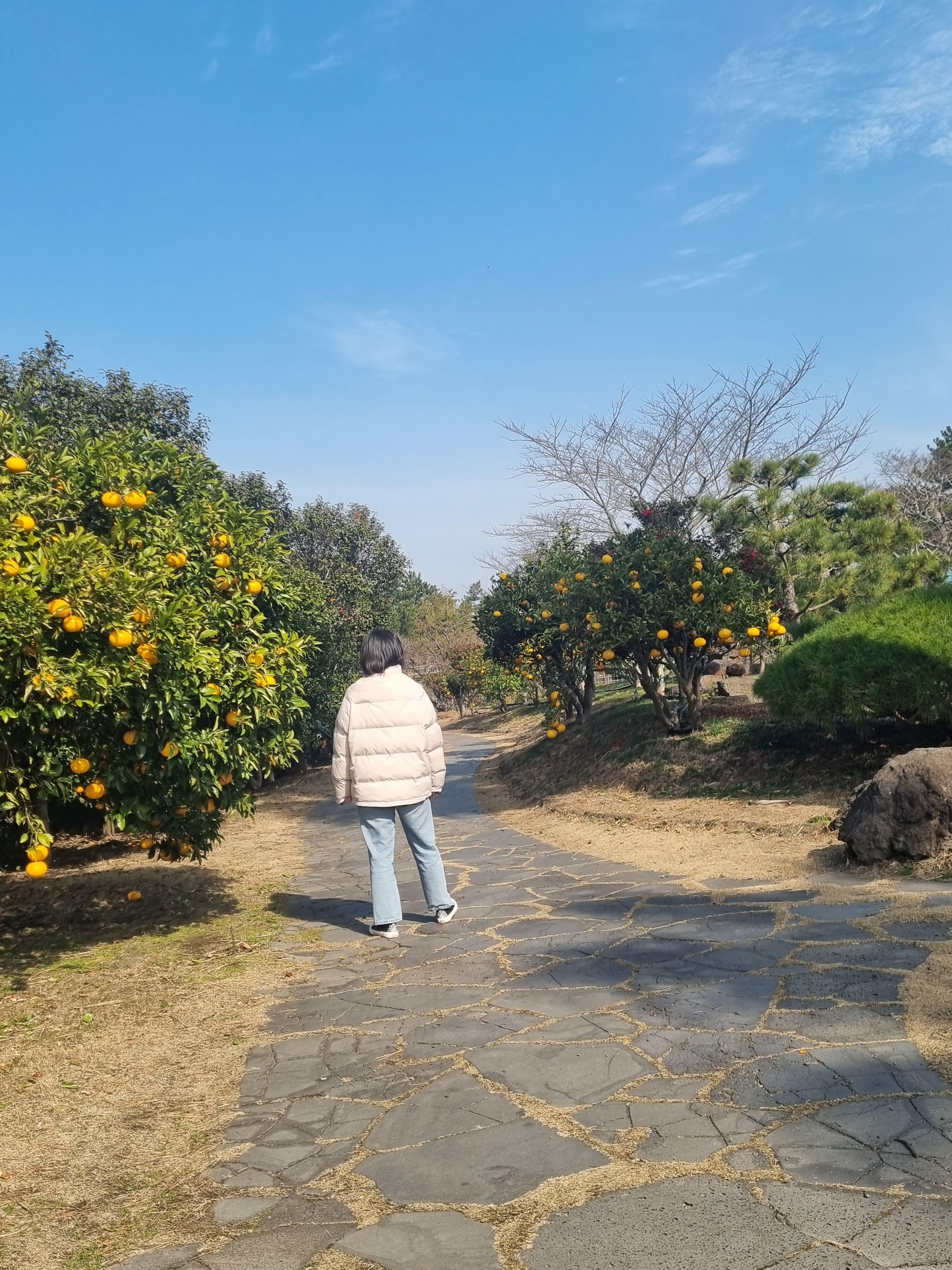 제주 여행지 관광지 노리매공원