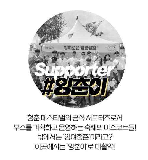 청춘페스티벌 2023