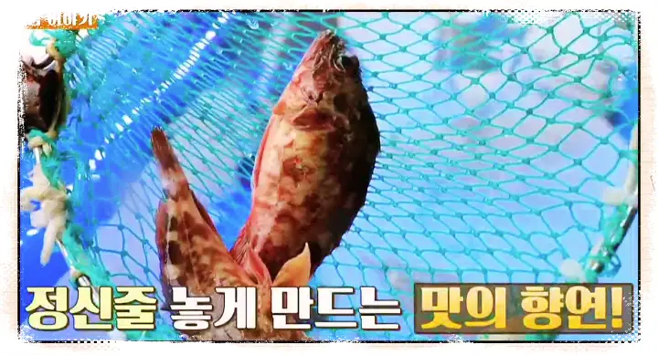 식객 허영만 백반기행 양수경 붕장어 잡어회 물메기 쏨뱅이회 맛집 남도 순천 맛집 소개