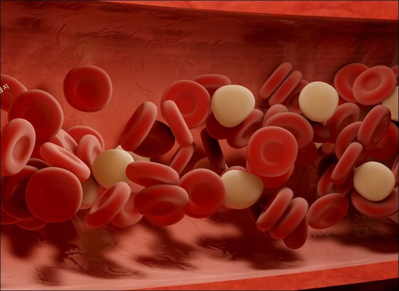 혈액에 염증 수치가 높을때