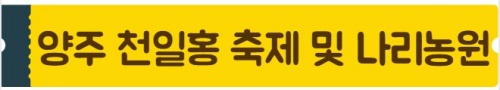 양주_천일홍축제