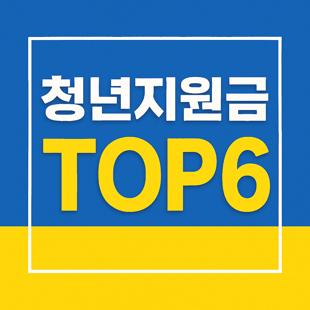 청년지원금 top6