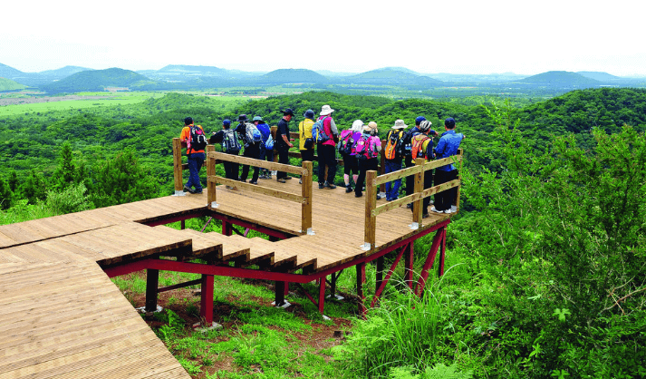 거문오름 탐방 예약 방법 (제주도 명소)