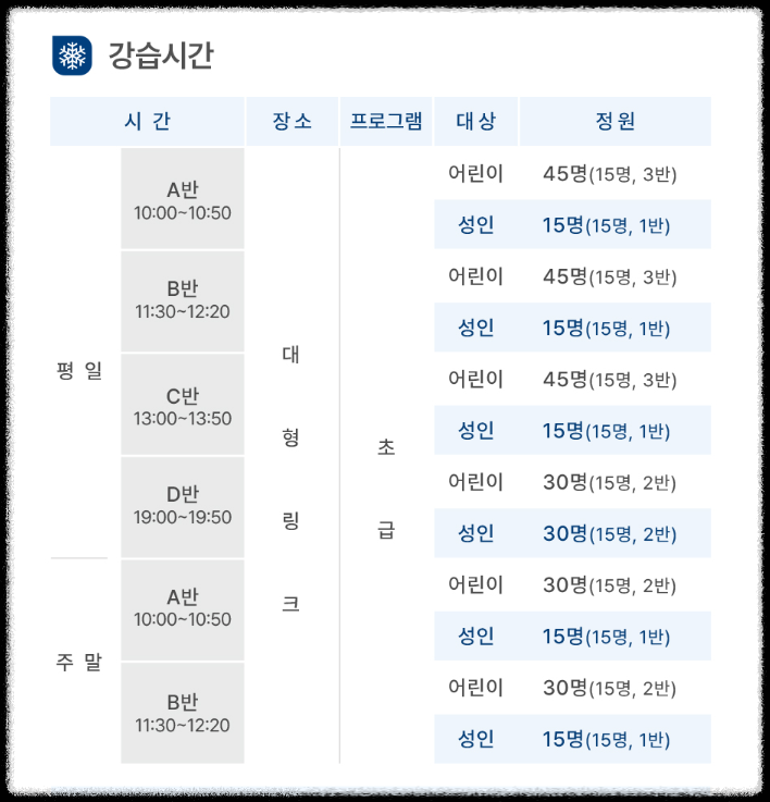 서울광장 스케이트장