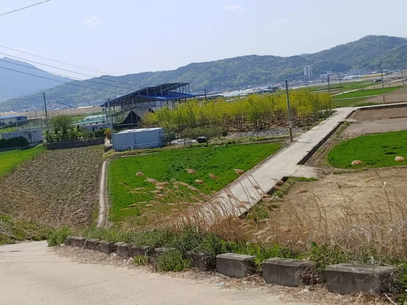 토지 매매 절차란 무엇인가요?