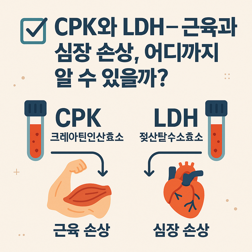 혈액검사 시리즈 ⑯ 건강검진 CPK와 LDH 검사 해석 ㅣ 근육과 심장 손상, 어디까지 알 수 있을까? 검진 전 운동을 하지 않아야 하는 중요한 이유는?