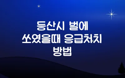 등산시 벌 곤충 응급처치 방법