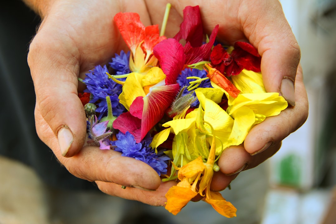Offerings