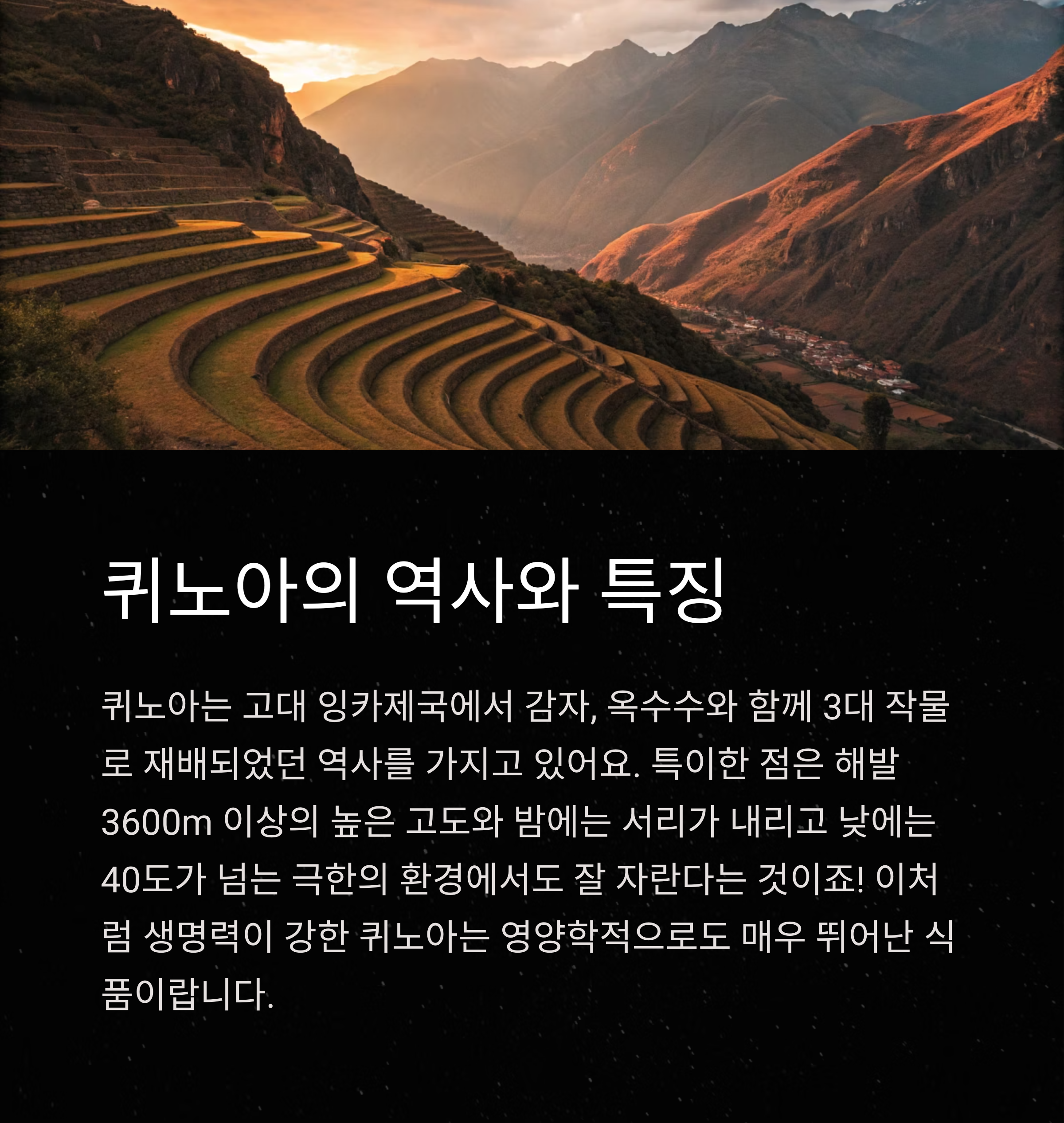 퀴노아 효능
