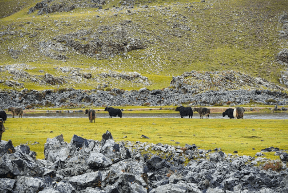 몽골 여행 준비물: 현지인이 추천하는 필수 리스트