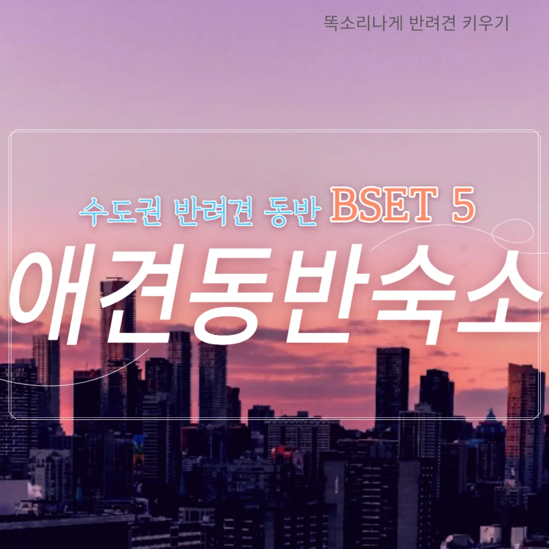 수도권 애견동반 여행지 5선 완벽 가이드 반려견 동반 산책 주말 여행지 추천_1