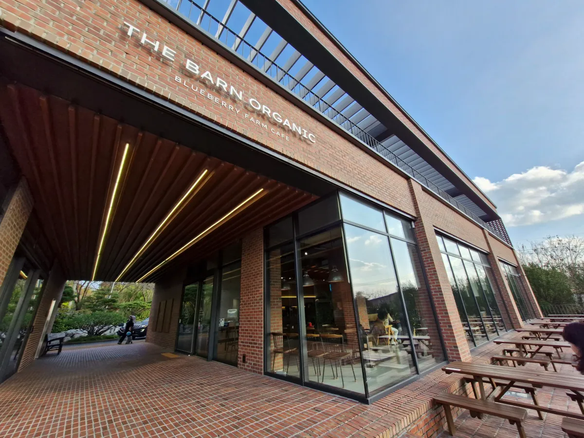 커다란-블루베리-카페-건물-어반올가닉