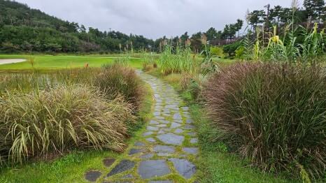 골프장 경험담 서산 서산수cc 동양의 신비스러움이 느껴지는 한국의 페블비치 cc