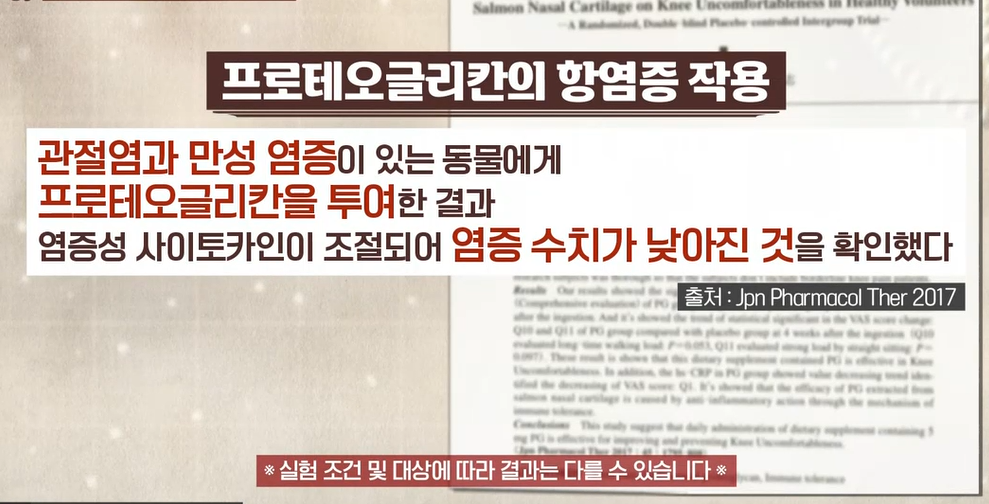 프로테오글리칸 효능