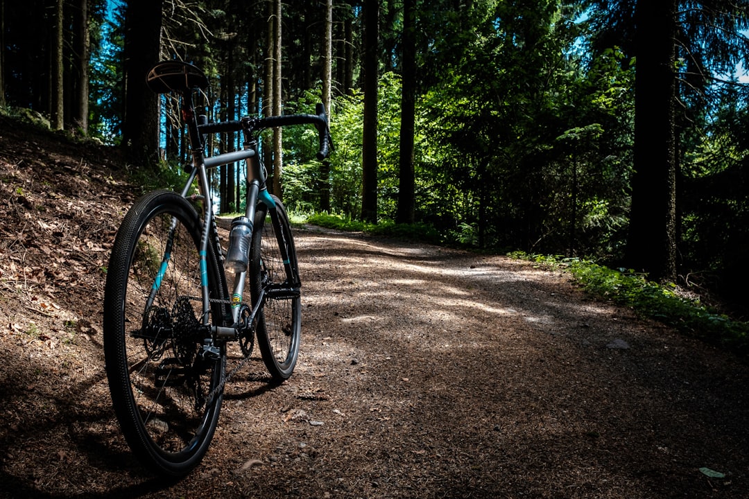Cycle