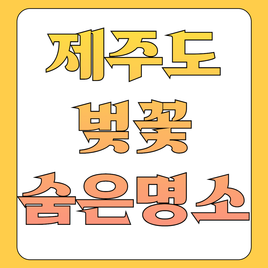 제주도 벚꽃길 제주도민 숨은명소 TOP3 주차장