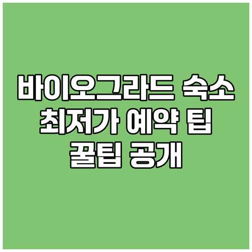 바이오그라드 나 모루 숙소 예약 전 