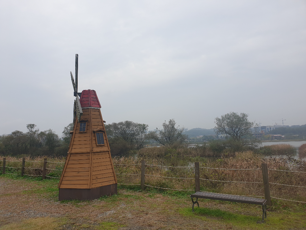 노랗게 변환 풀과 모형 풍차 그리고 뒤쪽에 호수가 보인다.