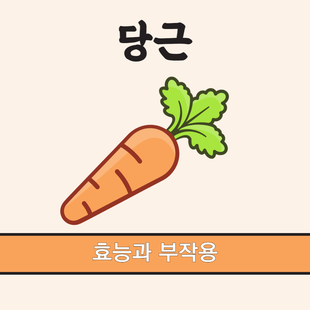 당근 효능 부작용
