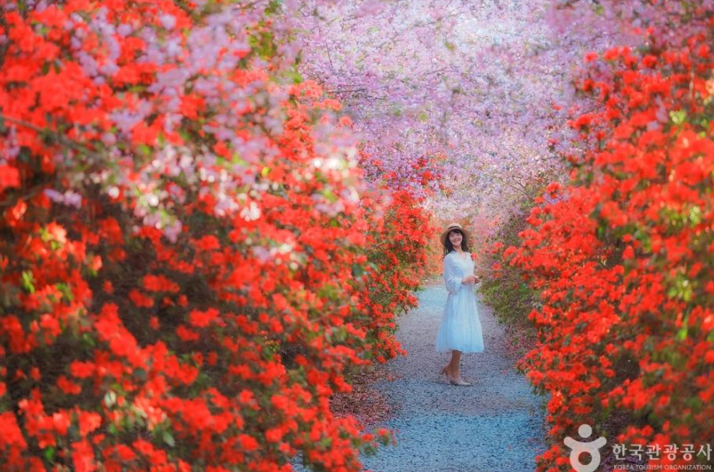 강진-백련사-사진-출처-한국관광공사