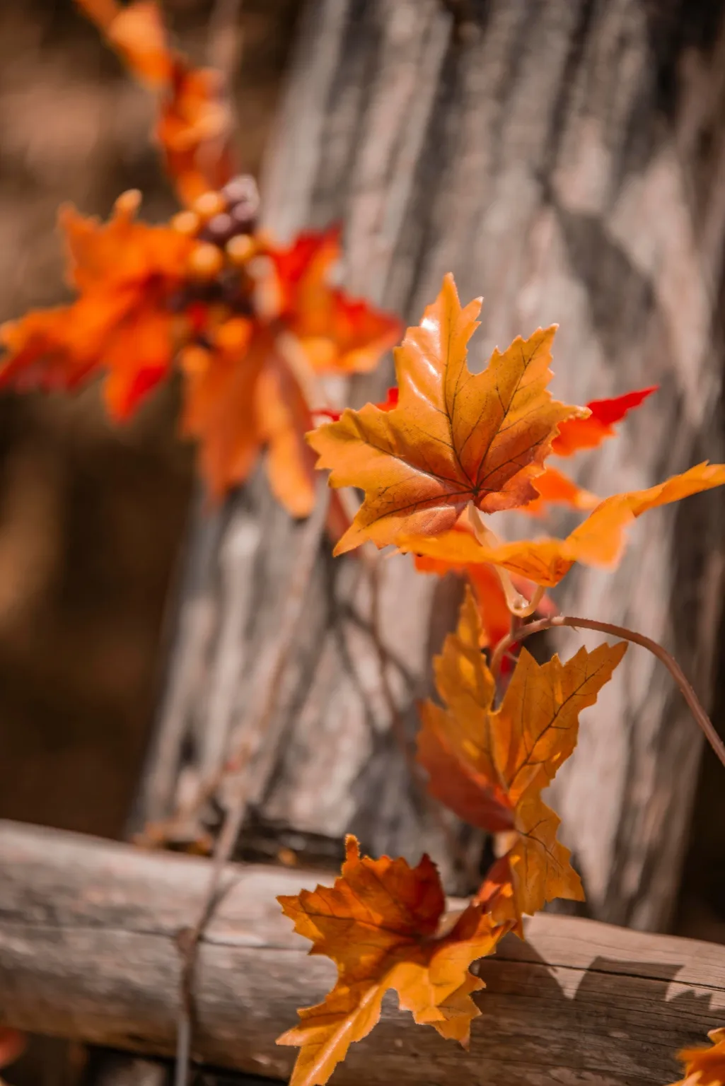 처서, 처서뜻, 처서절기, 처서음식, 처서건강식, 절기음식, 24절기, 처서밥상, 제철음식, 가을건강식, 여름끝자락음식,계절밥상