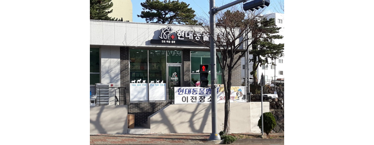 제주 서귀포시 동물병원