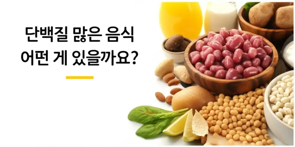 단백질많은음식어떤게있을까요_썸네일