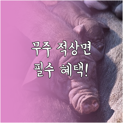 무주군 적상면 농업경영체 기본소득 지..