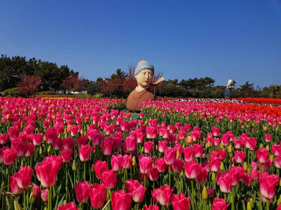 태안 가볼만한곳 베스트10