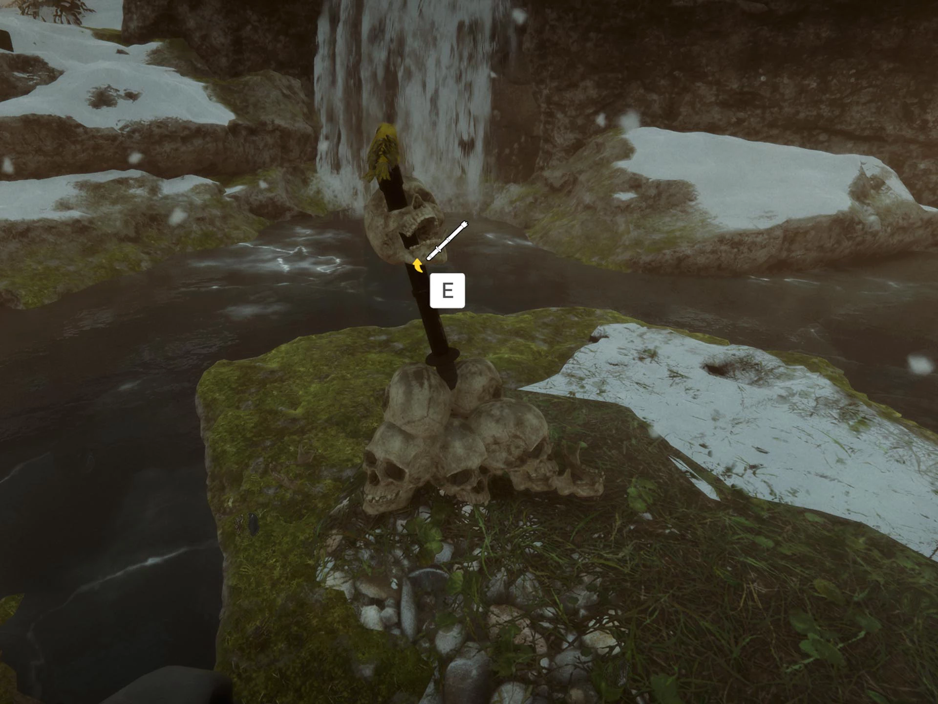 가까이 다가가서 바라본 모습