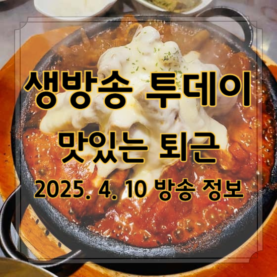 생방송 투데이 맛있는 퇴근