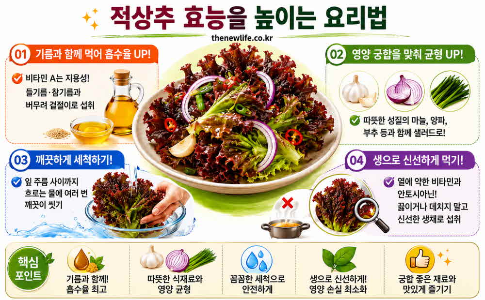 적상추 효능 높이는 요리법
