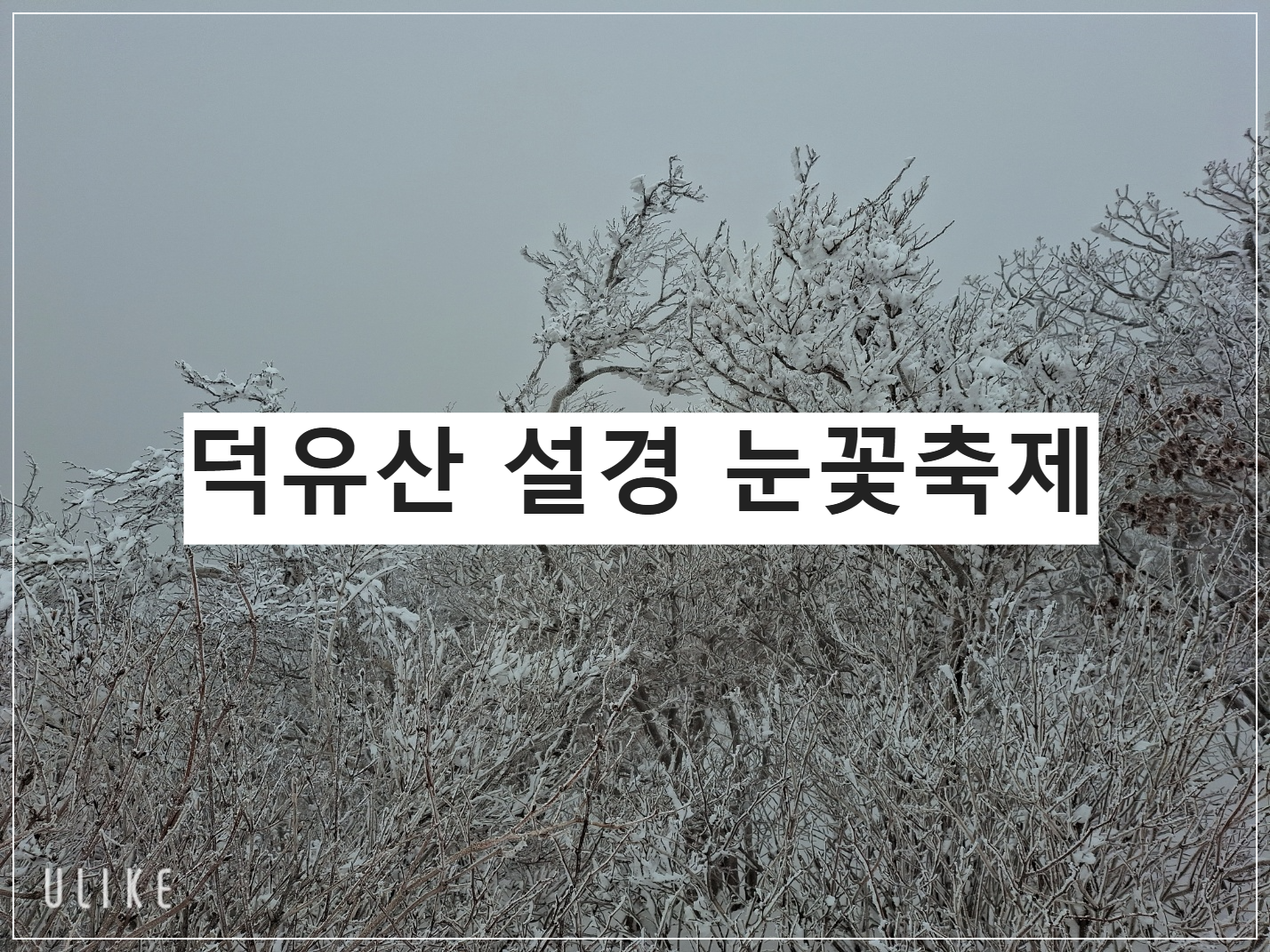 덕유산 눈꽃 축제
