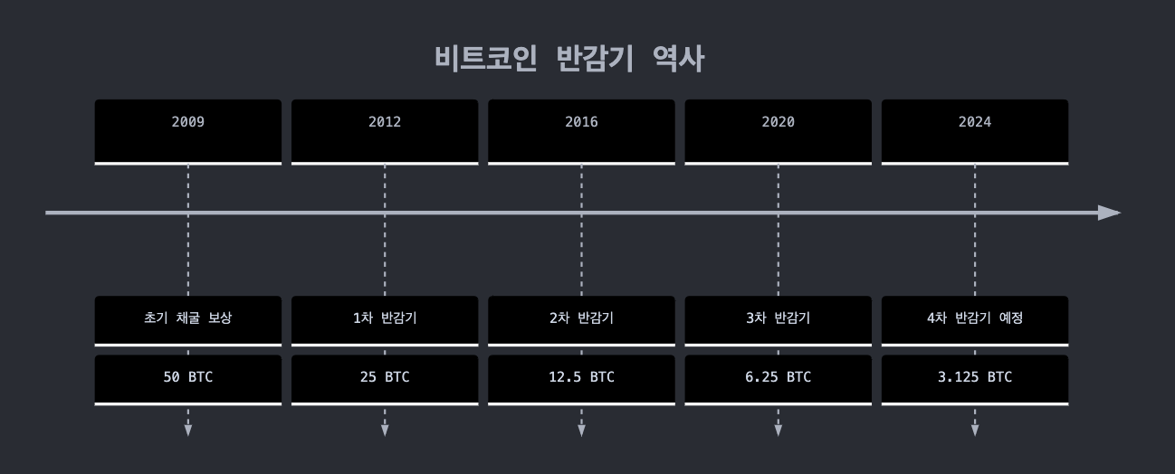 반감기의 역사