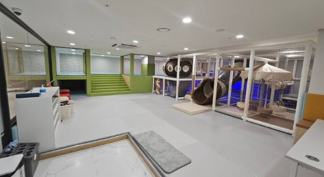 DMC센트럴자이_커뮤니티