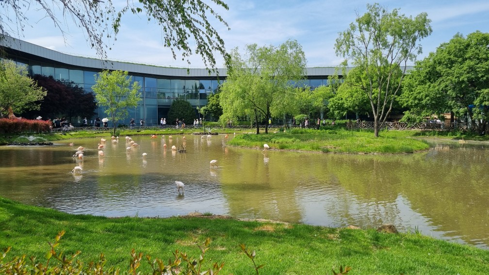 순천만국가정원 서문 물새놀이터