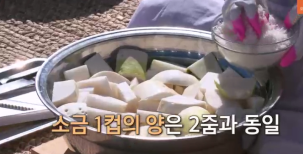 섞박지 (김장 무김치) 담그기