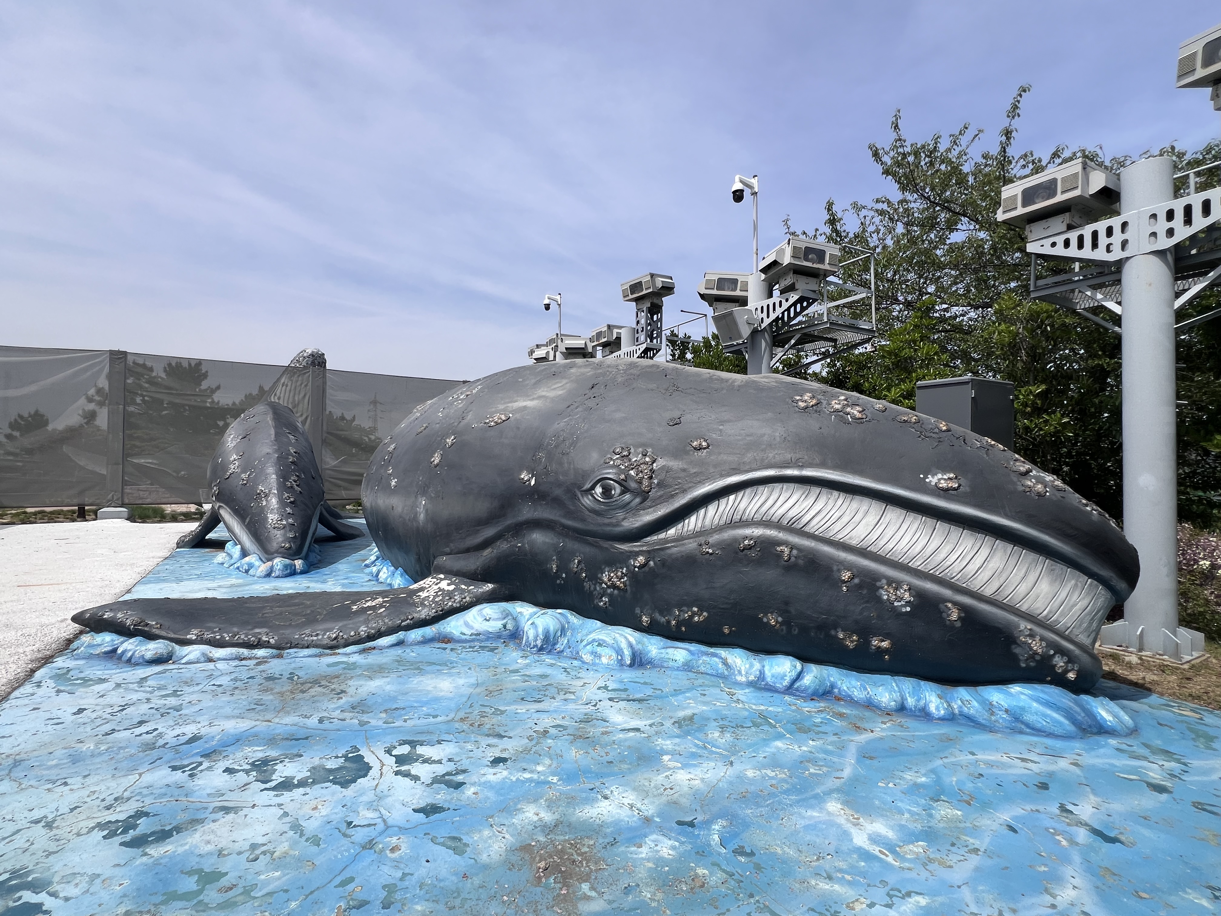 고래광장 고래모형 전시