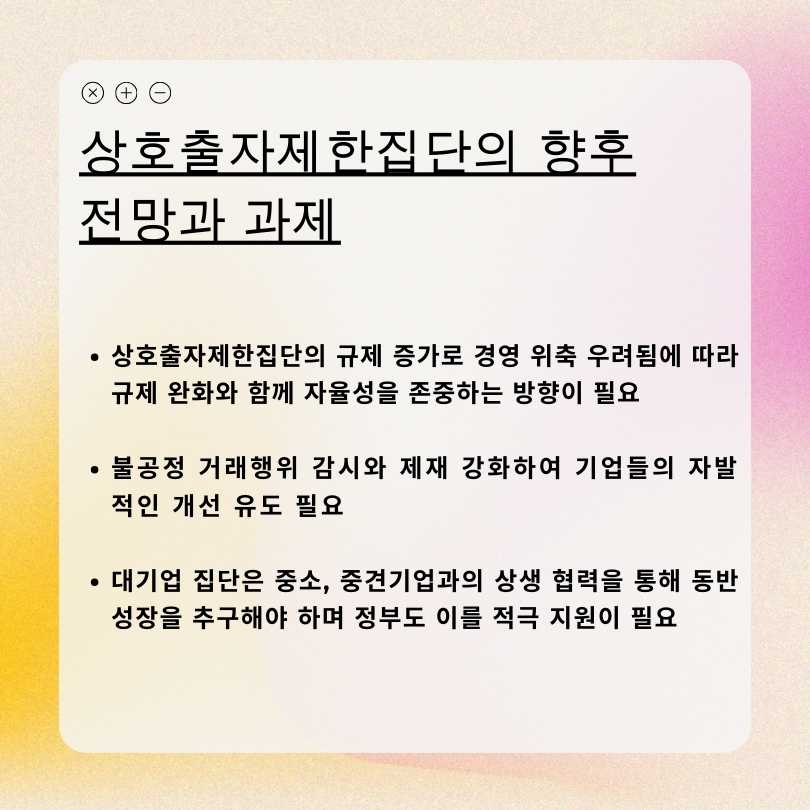 상호출자제한집단의 향후 전망과 과제