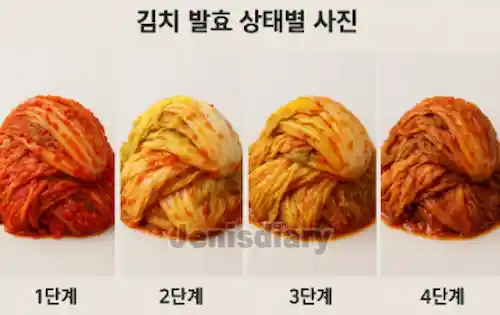 김치 발효 상태별 이미지