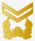 중사