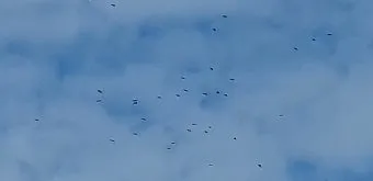 하늘 상태 구름 양 태양 광량 실내 채광 조절_11