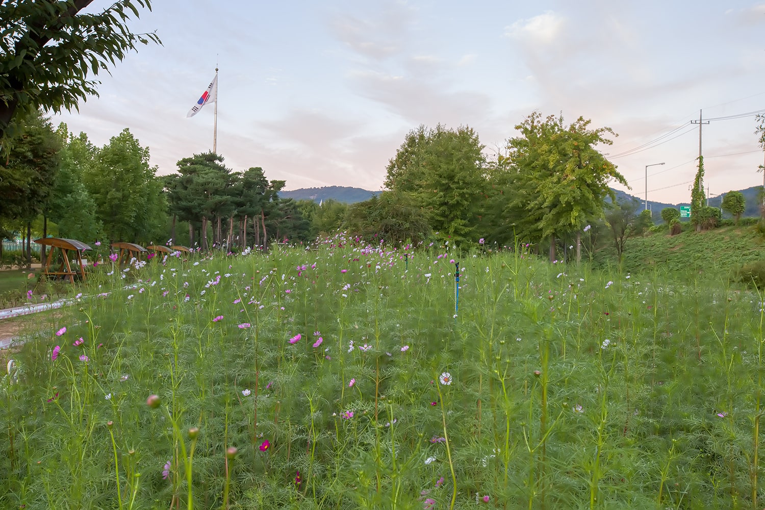 구리 한강공원- 17