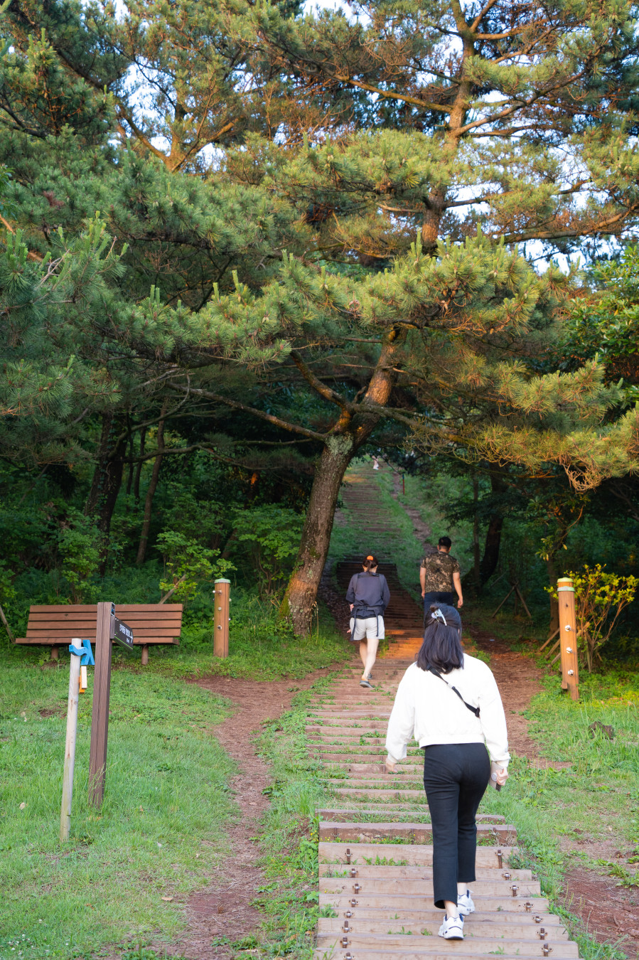 군산 오름 올라가는길