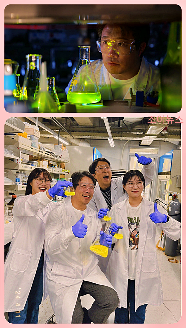 카이스트의 폴리페놀 연구_출처:그래비티